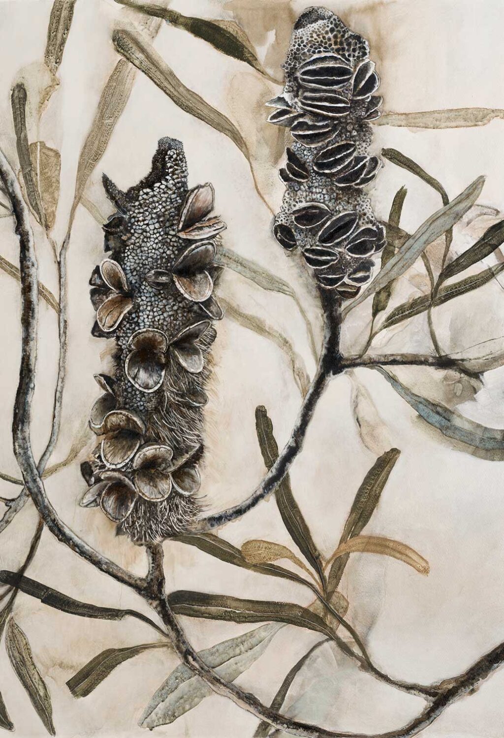 Beachside-Banksia