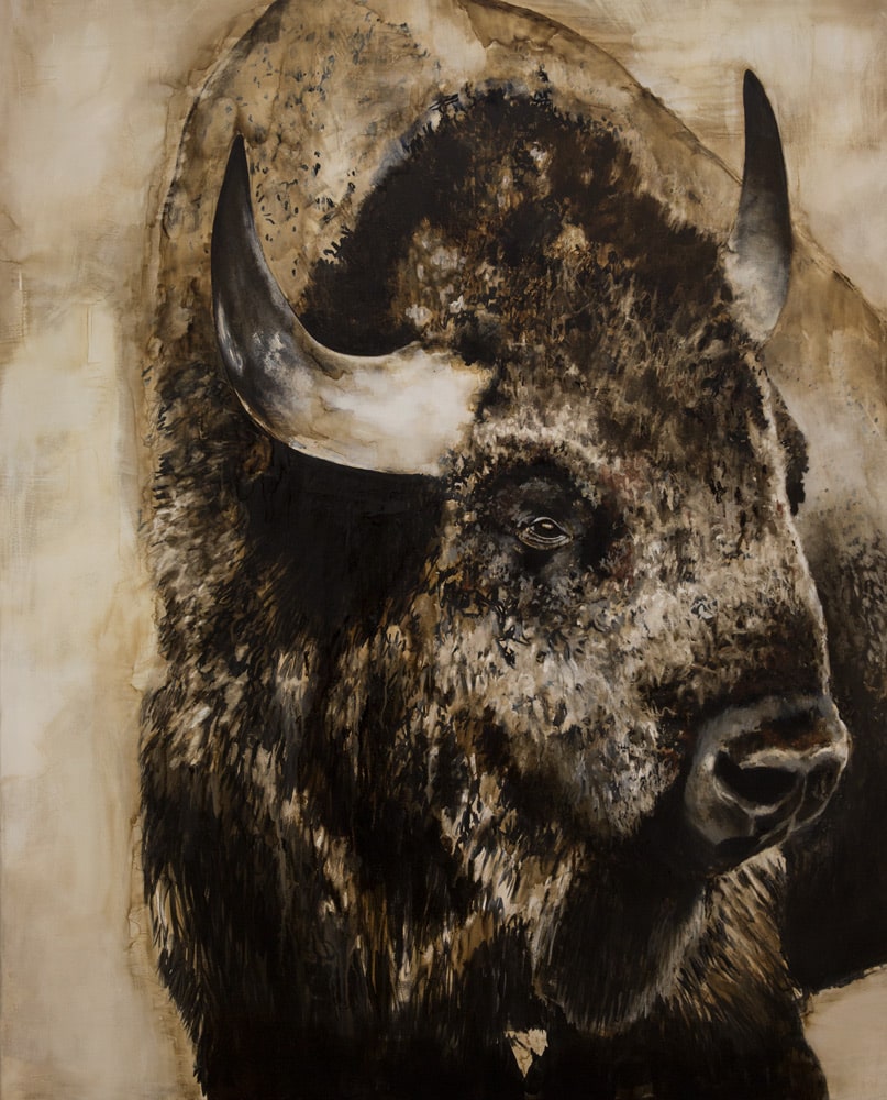 Bison Unframed