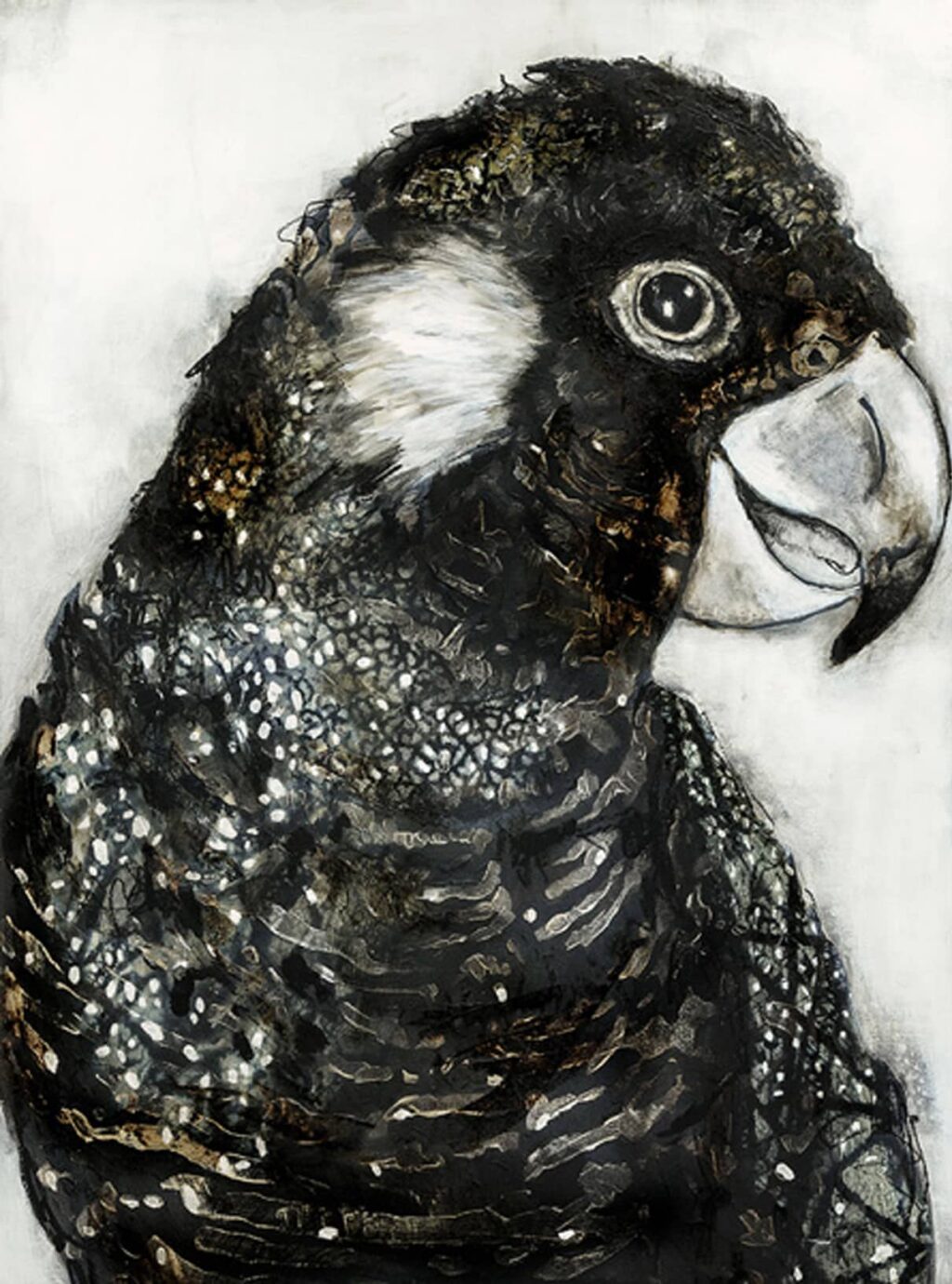 A close-up of a desert parrot's right eye, showing its bright iris and intricate pupil