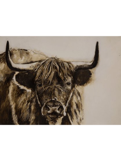 Highland Bull Unframed
