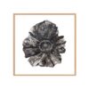 VINTAGE POPPY1