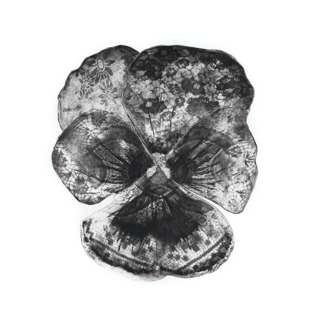 Vintage Pansy 1 Unframed