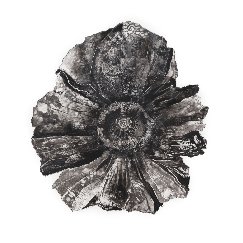 Vintage Poppy 1 Unframed