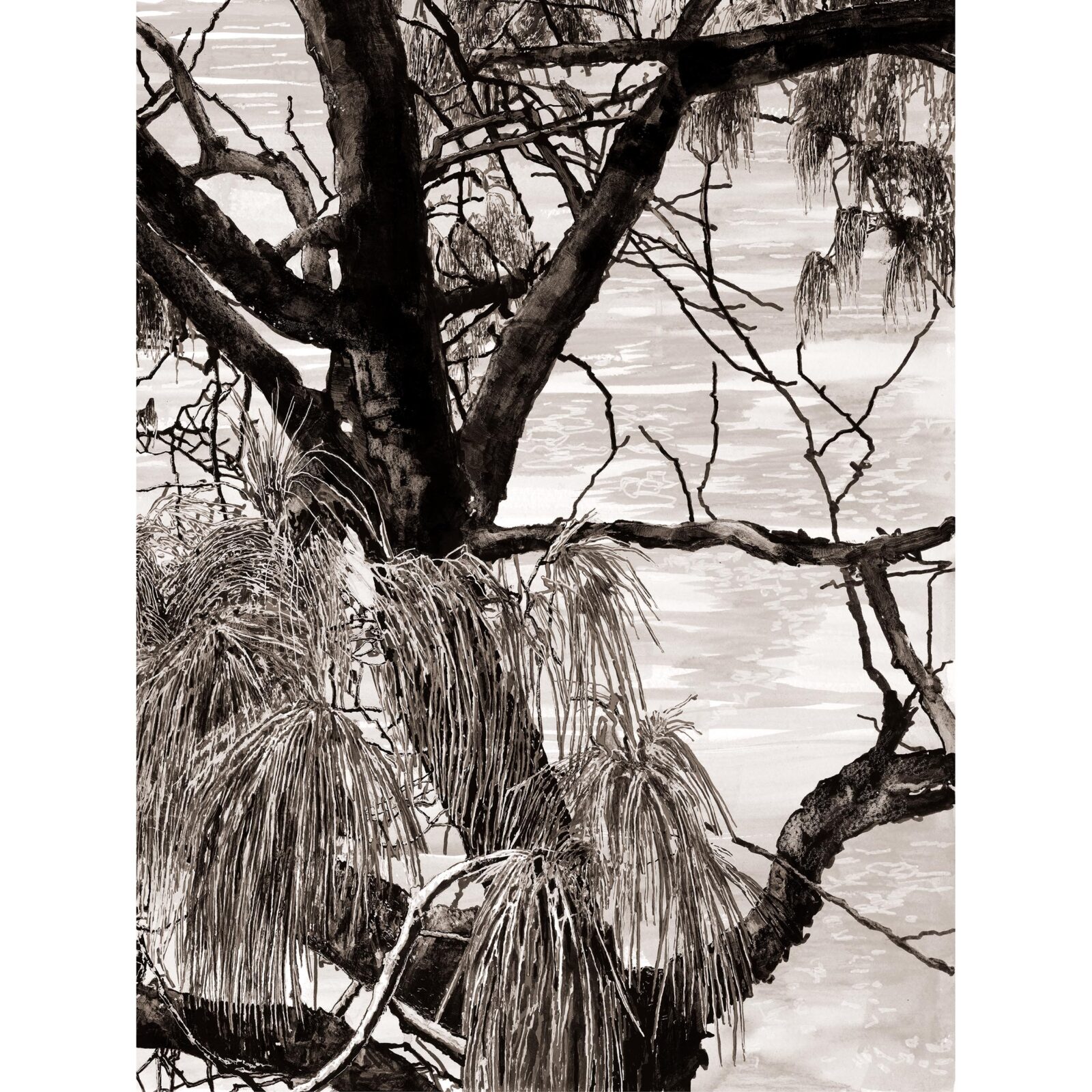Island Tide 2