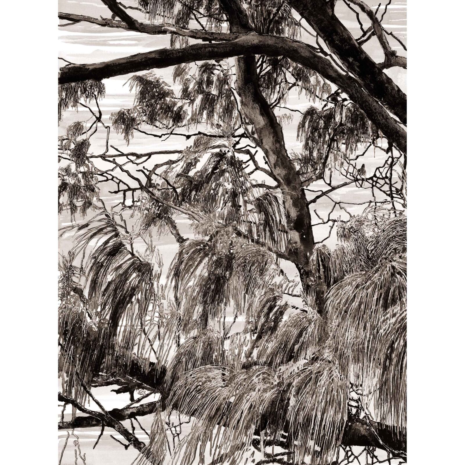 Island Tide 4